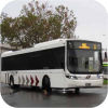 Latrobe Valley buses